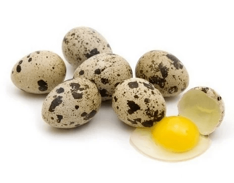 Ovos de codorniz